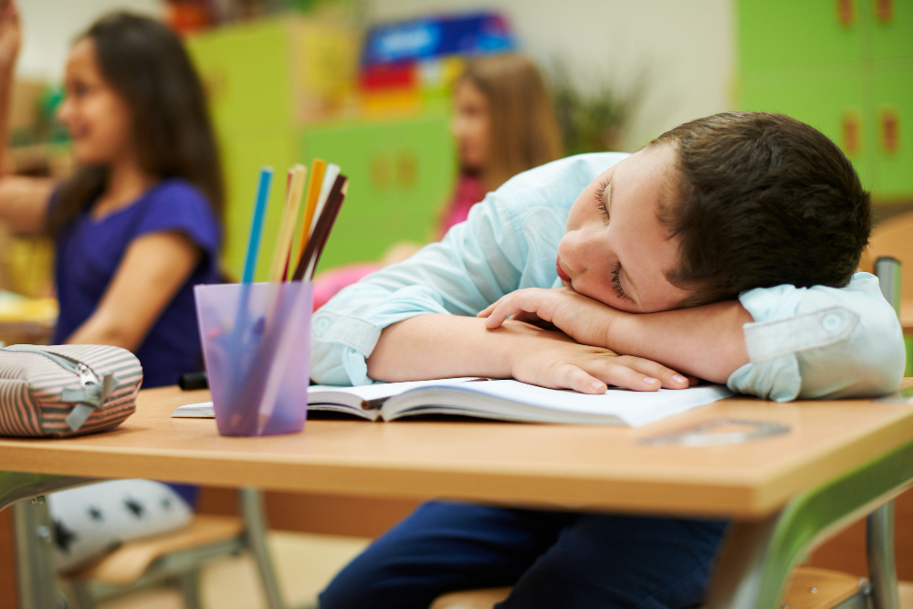 "Recognizing Burnout: When Mental Fatigue Blocks Your Child's Capacity to Retain" A young boy in a light blue shirt sleeps peacefully with his head resting on his crossed arms over an open notebook on his school desk, while other children sit blurred in the background of the classroom.